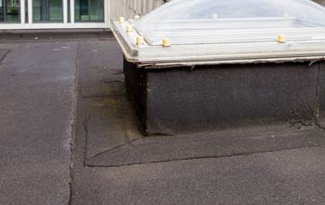 disadvantages of Twitchen Mill flat roofs