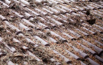 Twitchen Mill roof cleaning companies